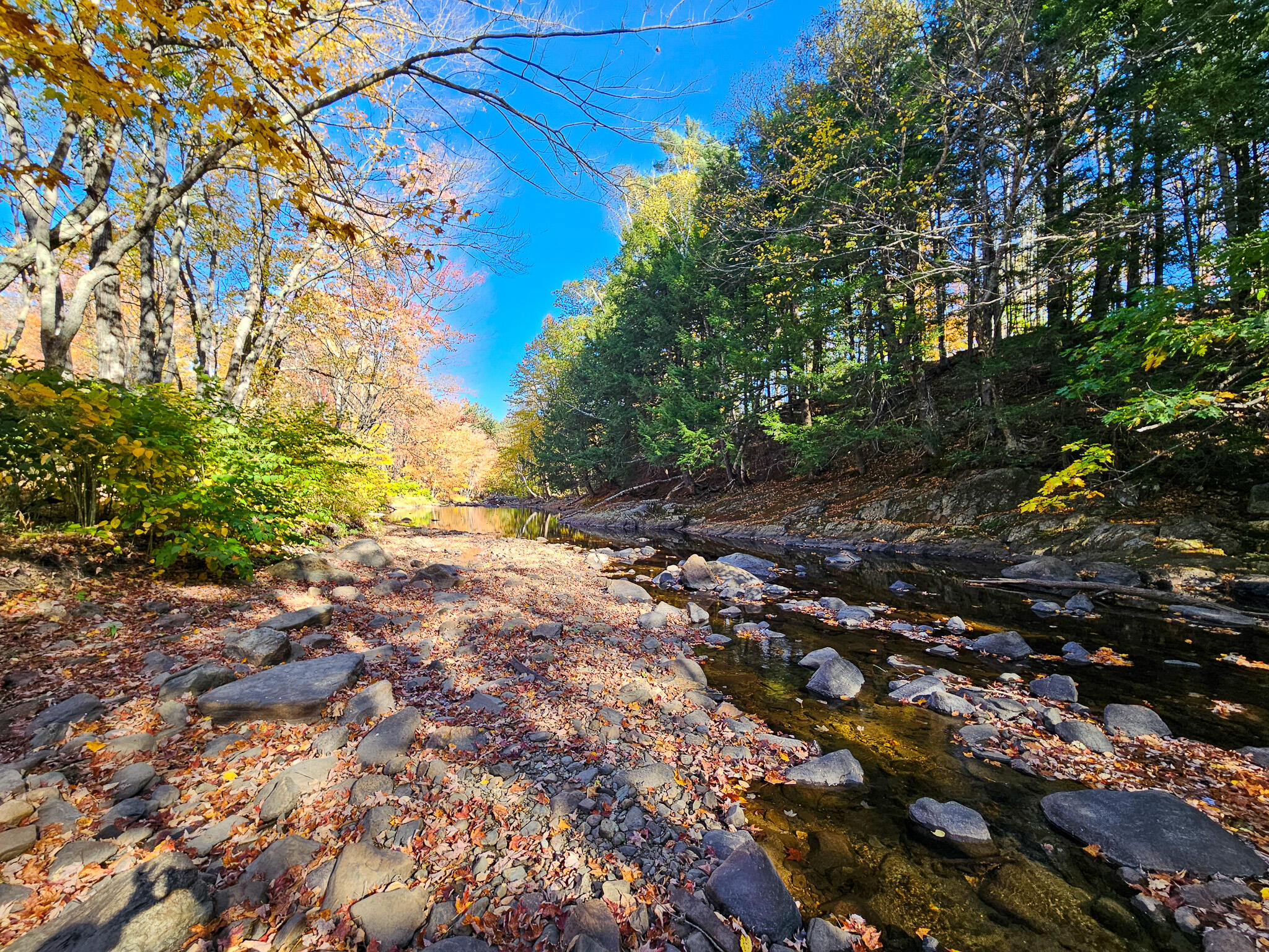 23 Cummings Hill Road Temple, ME 04984 - Photo 79 of 96 20250930_152621-2