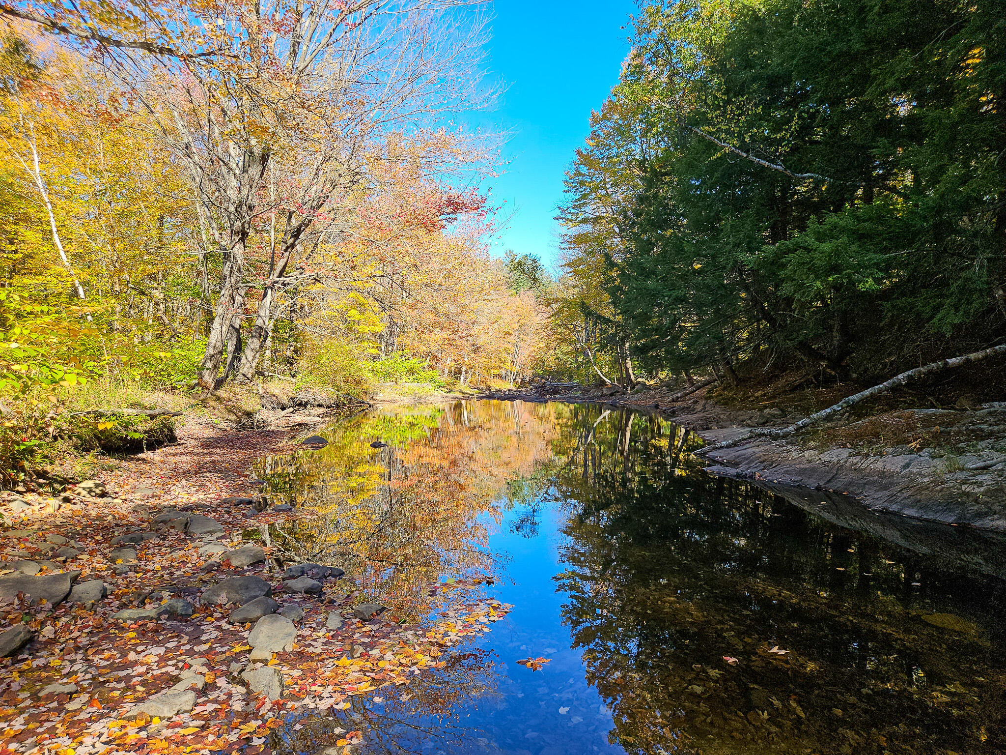 23 Cummings Hill Road Temple, ME 04984 - Photo 80 of 96 20250930_152704-2