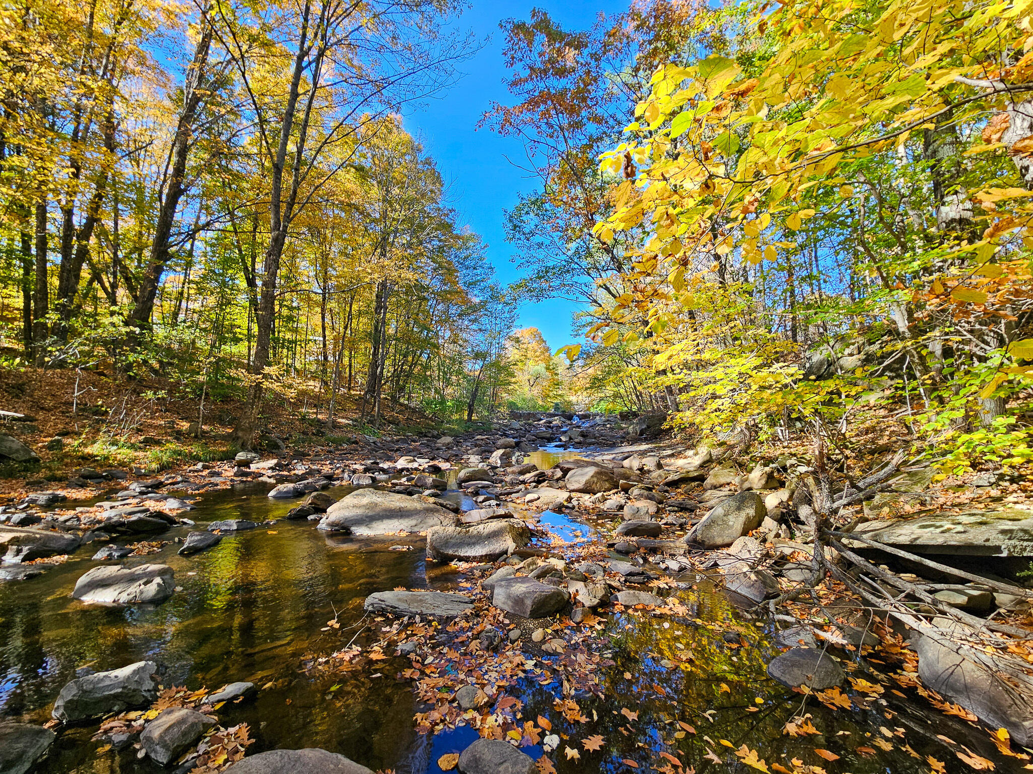 23 Cummings Hill Road Temple, ME 04984 - Photo 8 of 96 20250930_151616-2