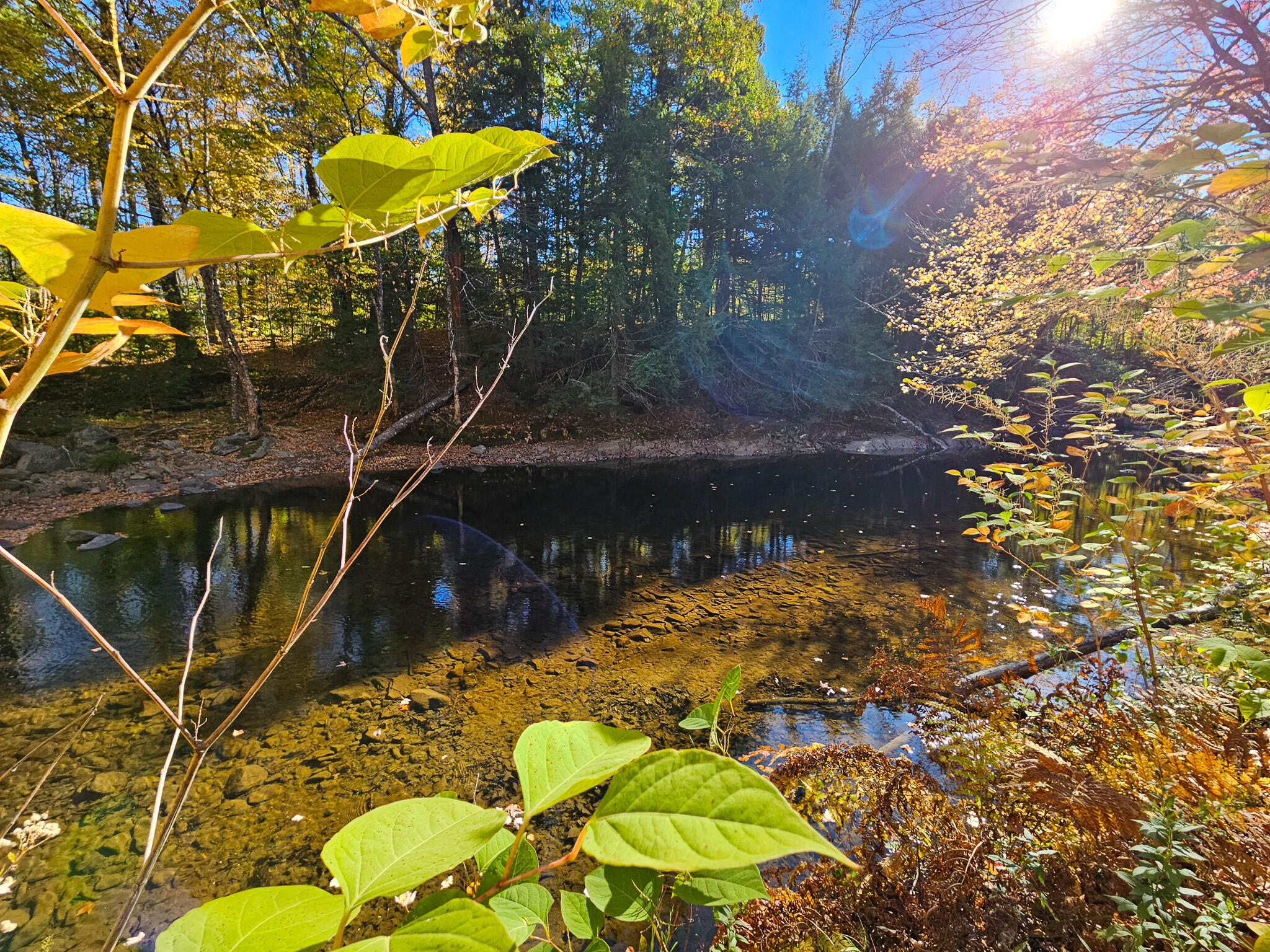 23 Cummings Hill Road Temple, ME 04984 - Photo 81 of 96 20250930_152924-2