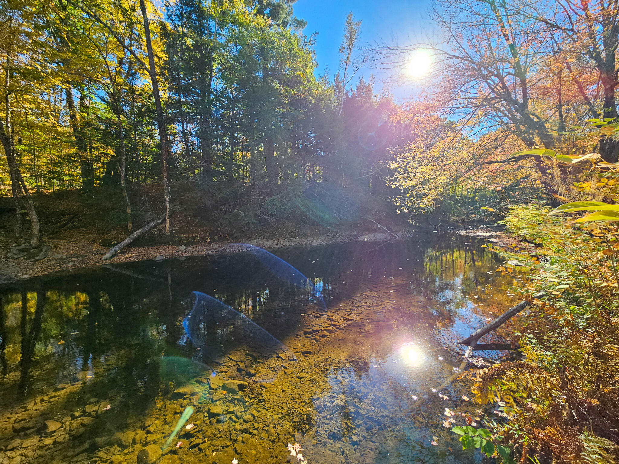 23 Cummings Hill Road Temple, ME 04984 - Photo 82 of 96 20250930_152942-2