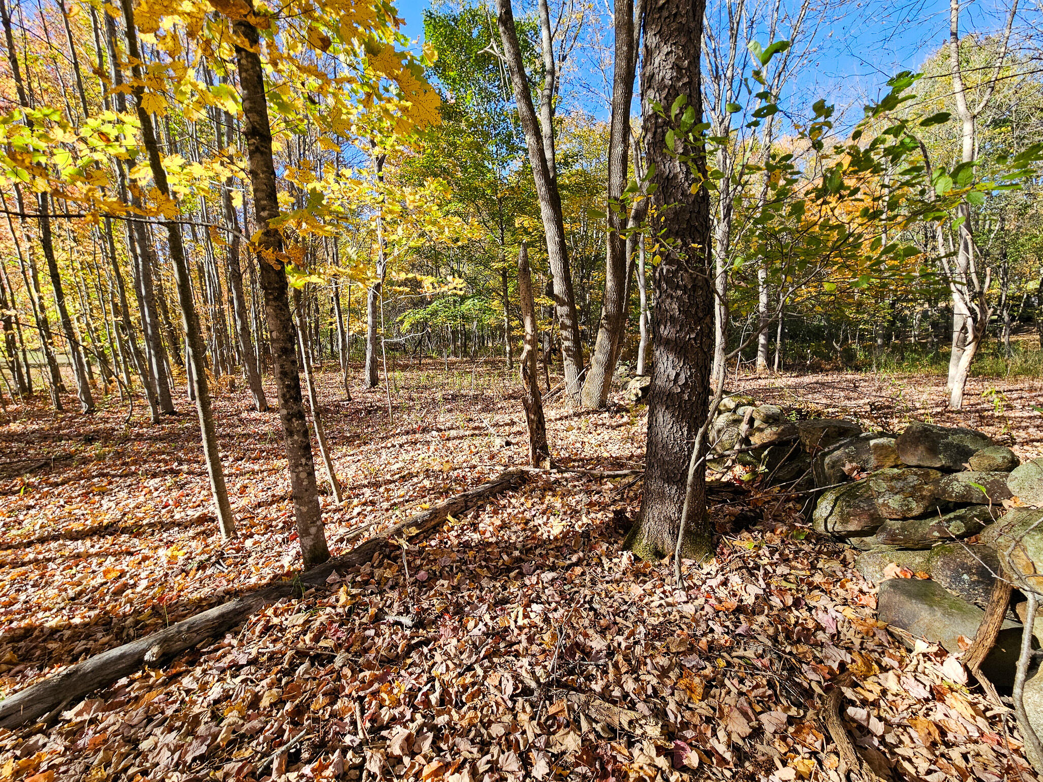 23 Cummings Hill Road Temple, ME 04984 - Photo 85 of 96 20250930_153111-2
