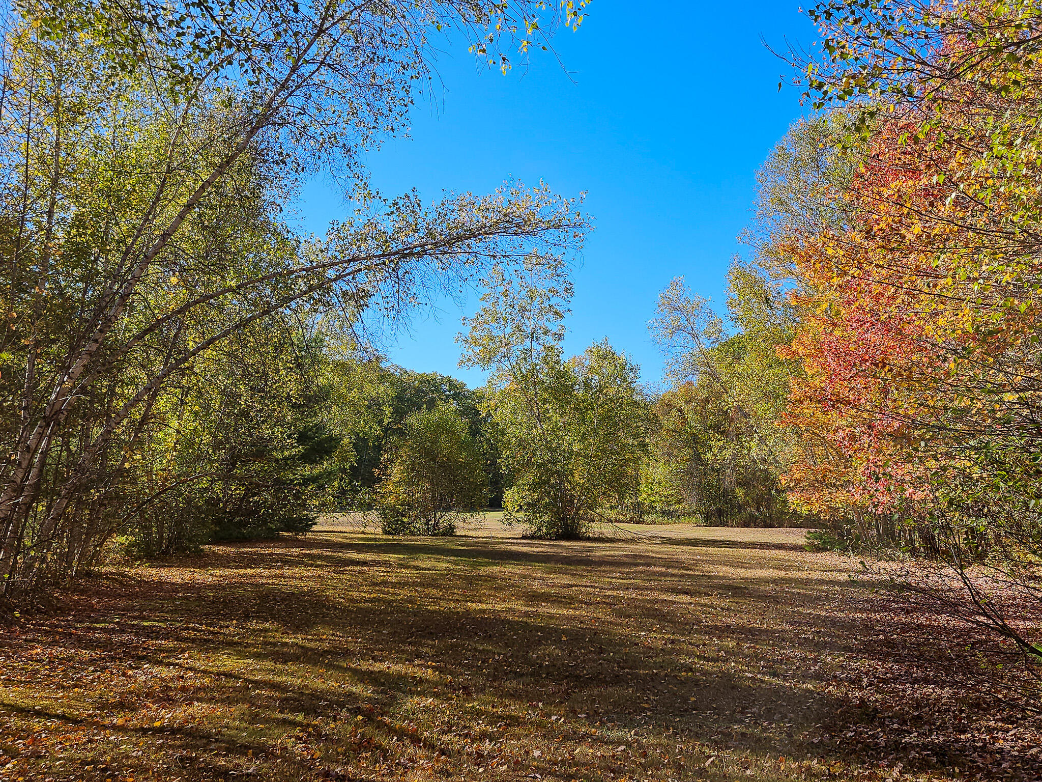 23 Cummings Hill Road Temple, ME 04984 - Photo 87 of 96 20250930_153141-2