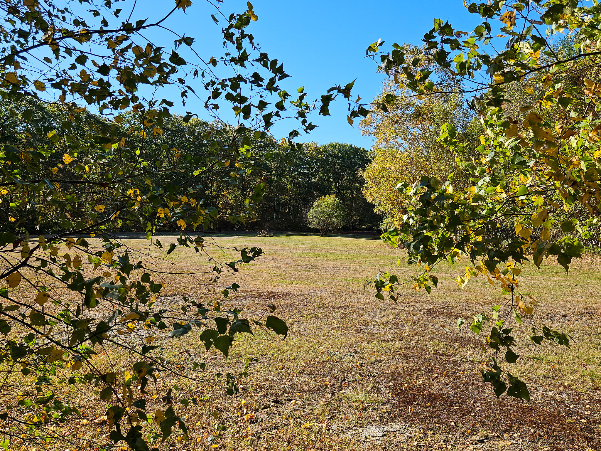 23 Cummings Hill Road Temple, ME 04984 - Photo 88 of 96 20250930_153242-2