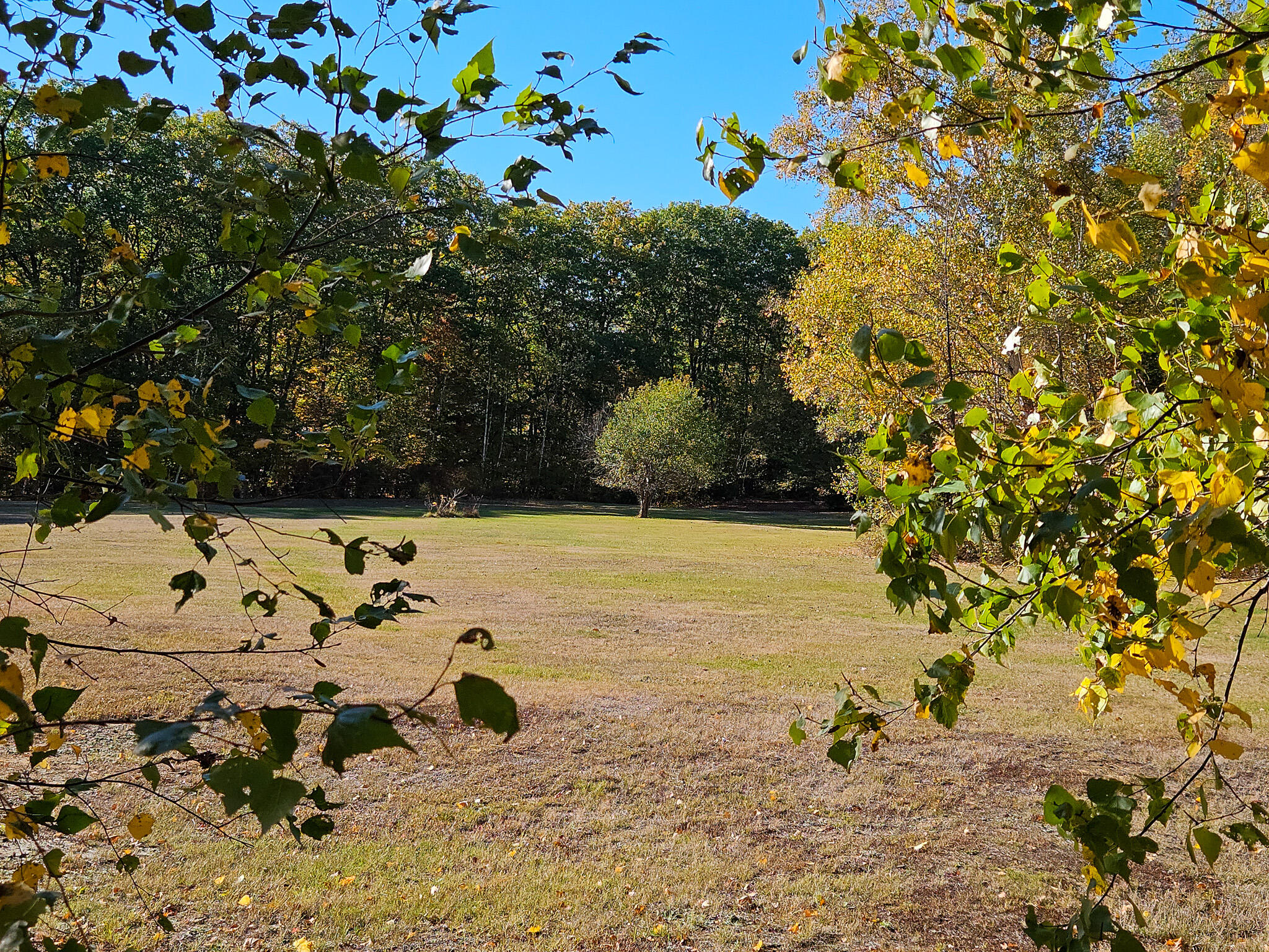 23 Cummings Hill Road Temple, ME 04984 - Photo 89 of 96 20250930_153253-2