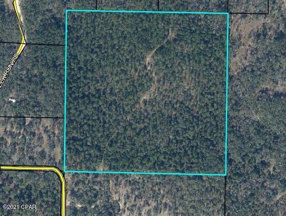0 Dupree Road Vernon, FL 32462 - Photo 1 of 1