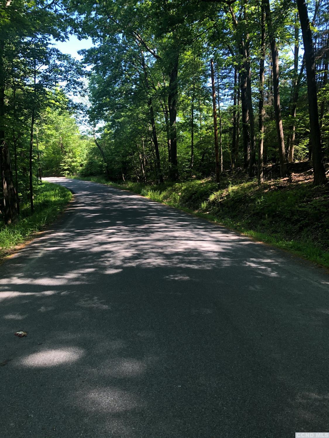 0 Dugway Road, East Chatham, NY 12060 Compass