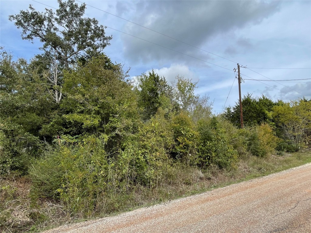 12-34 Flint Ridge/tower View Street Bastrop, TX 78602 - Photo 1 of 1