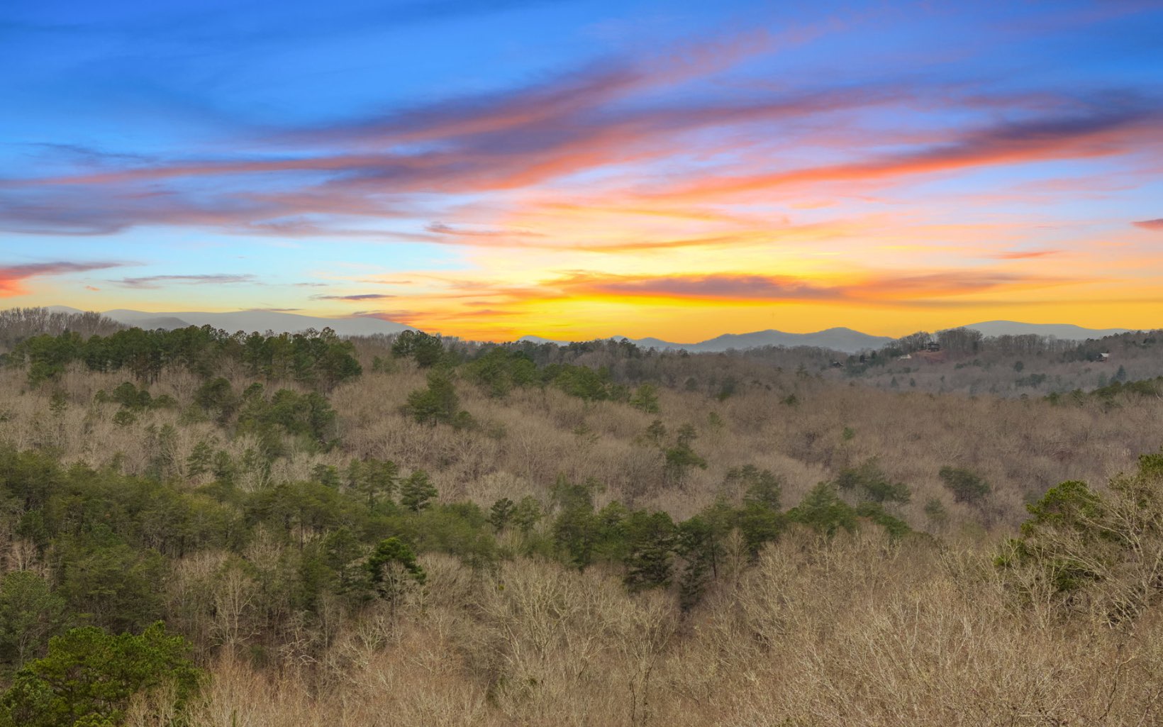 157 Fish Camp Way Mineral Bluff, GA 30559 - Photo 44 of 48 Additional View