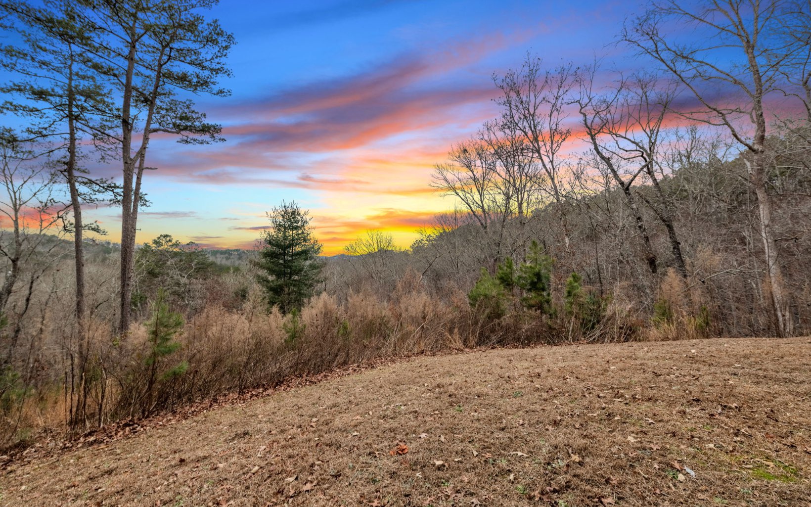 157 Fish Camp Way Mineral Bluff, GA 30559 - Photo 46 of 48 Additional View