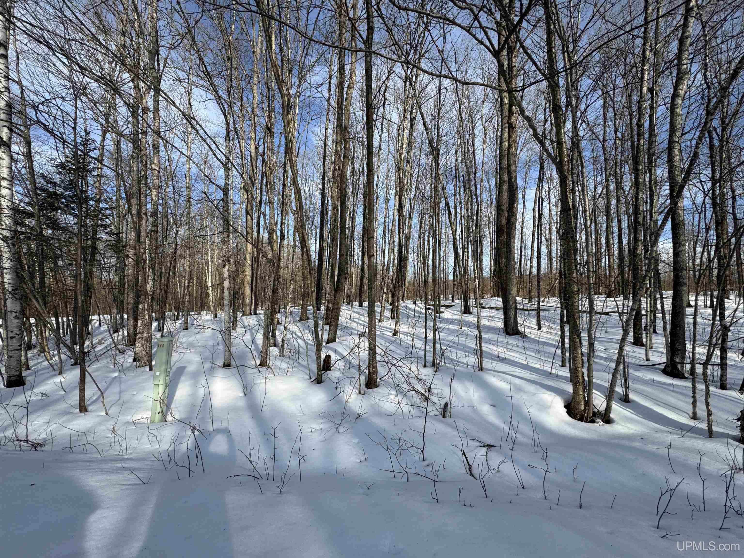 Lot 64 Little Deer Road Iron River, MI 49935 - Photo 2 of 5