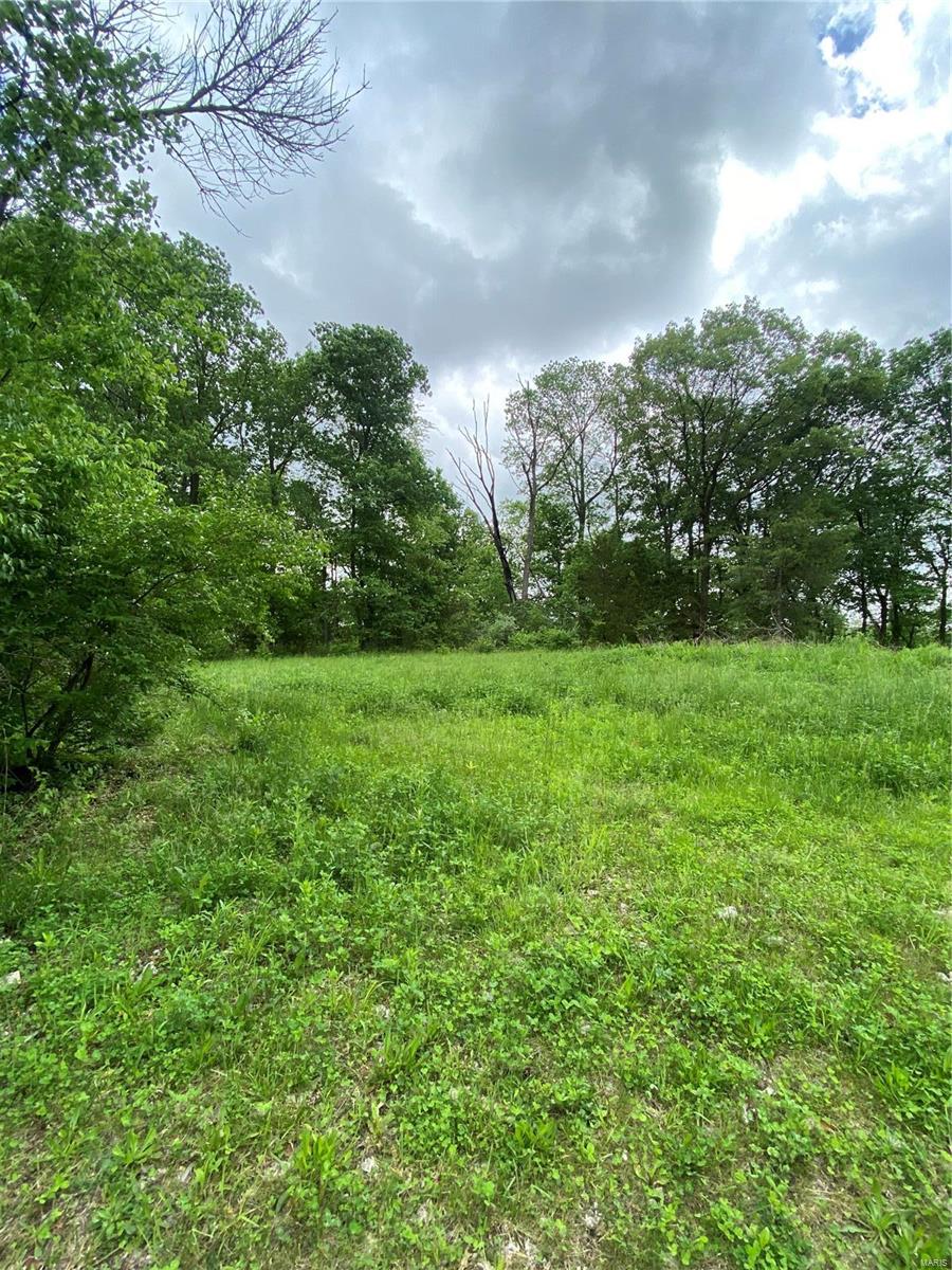 1136 Hazel Dell Road Greenville, IL 62246 - Photo 29 of 50 Gallery Image 29