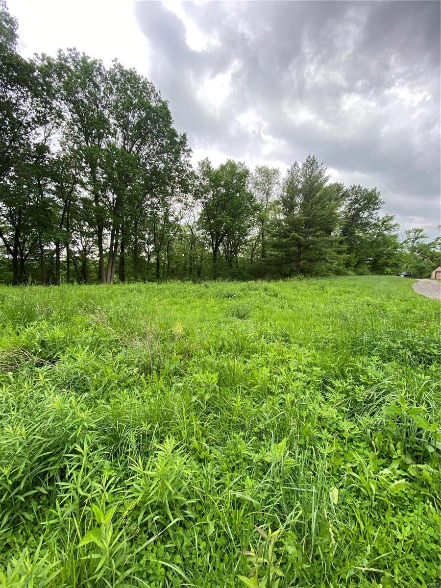 1136 Hazel Dell Road Greenville, IL 62246 - Photo 30 of 50 Gallery Image 30