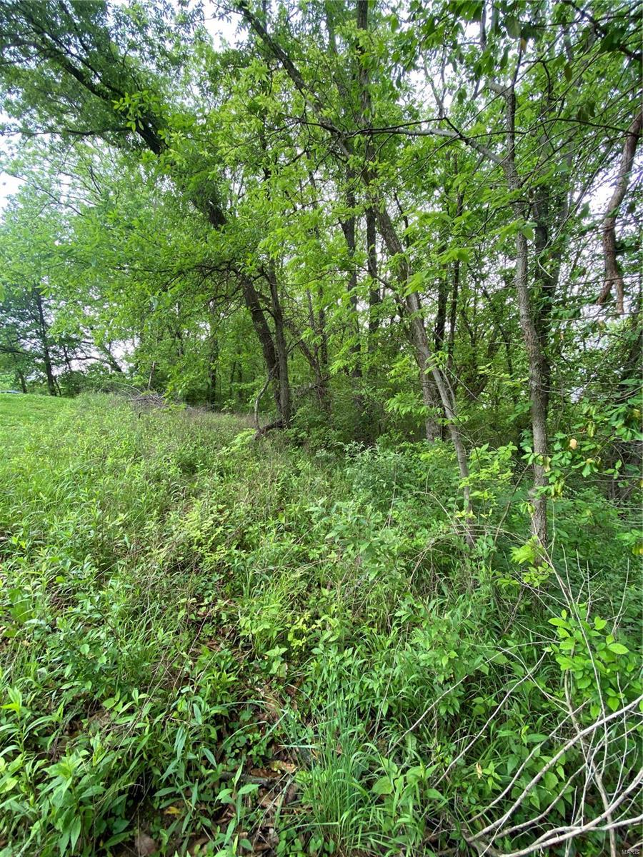1136 Hazel Dell Road Greenville, IL 62246 - Photo 36 of 50 Gallery Image 36