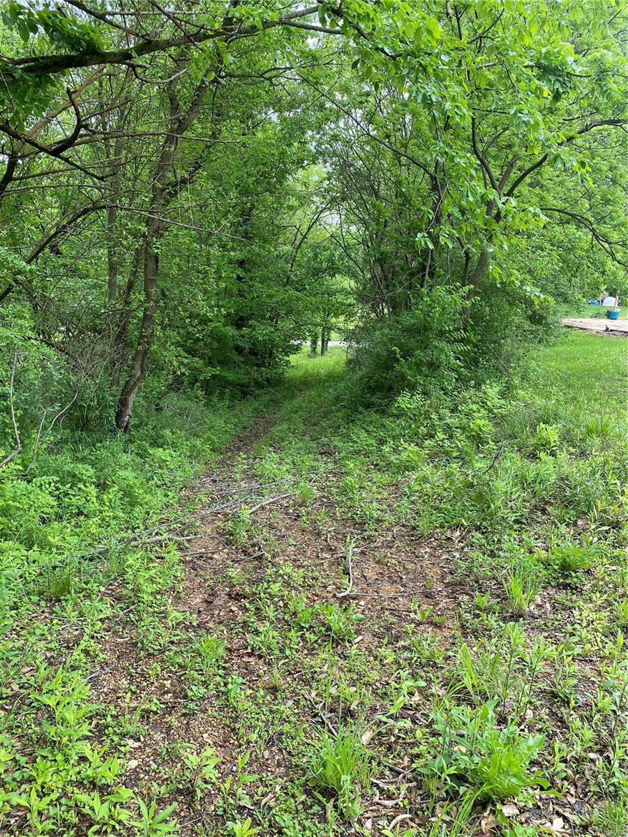 1136 Hazel Dell Road Greenville, IL 62246 - Photo 37 of 50 Gallery Image 37