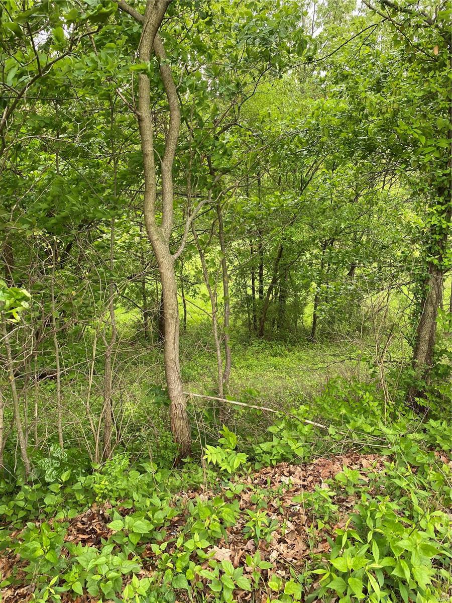 1136 Hazel Dell Road Greenville, IL 62246 - Photo 38 of 50 Gallery Image 38