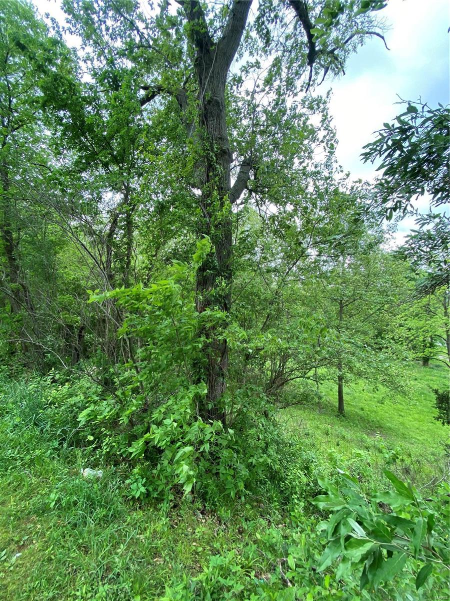 1136 Hazel Dell Road Greenville, IL 62246 - Photo 39 of 50 Gallery Image 39
