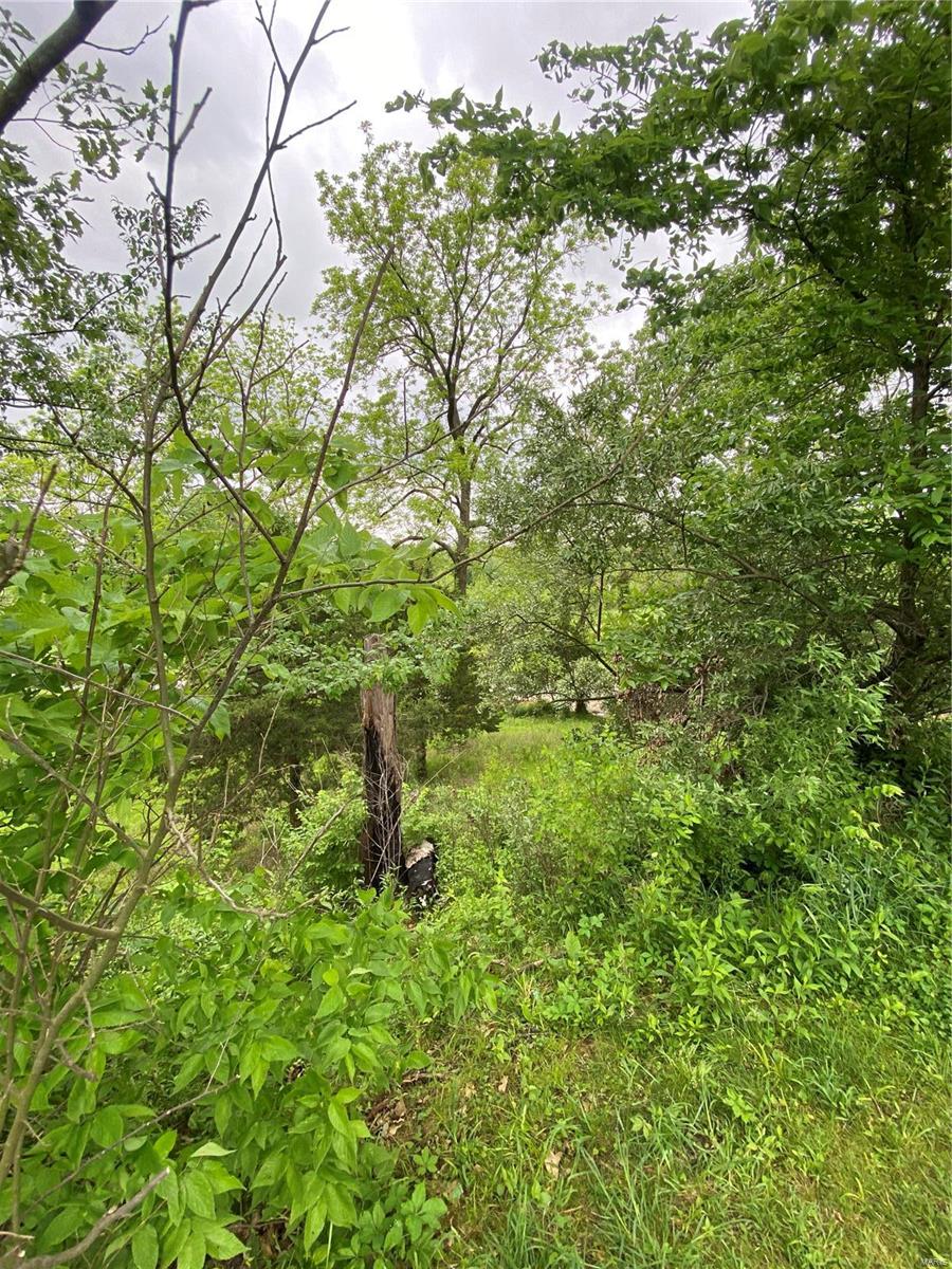 1136 Hazel Dell Road Greenville, IL 62246 - Photo 40 of 50 Gallery Image 40