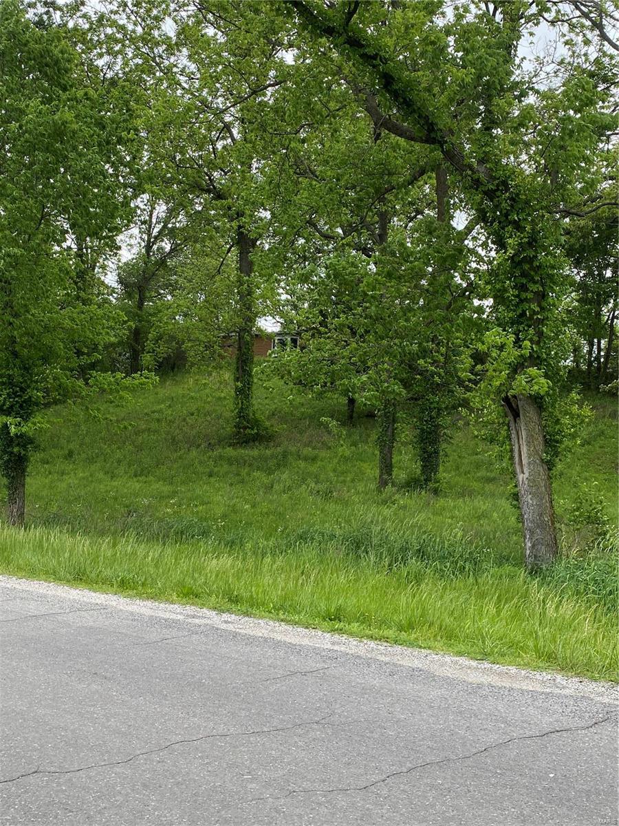 1136 Hazel Dell Road Greenville, IL 62246 - Photo 44 of 50 Gallery Image 44