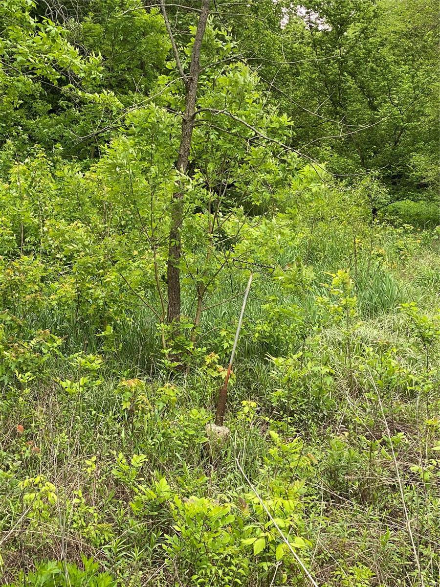 1136 Hazel Dell Road Greenville, IL 62246 - Photo 45 of 50 Gallery Image 45