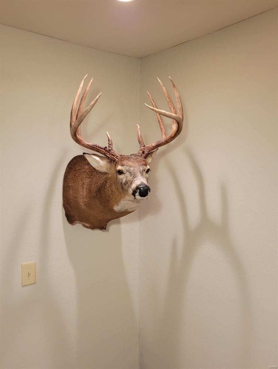 1136 Hazel Dell Road Greenville, IL 62246 - Photo 47 of 50 Gallery Image 47