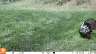 1136 Hazel Dell Road Greenville, IL 62246 - Photo 49 of 50 Gallery Image 49