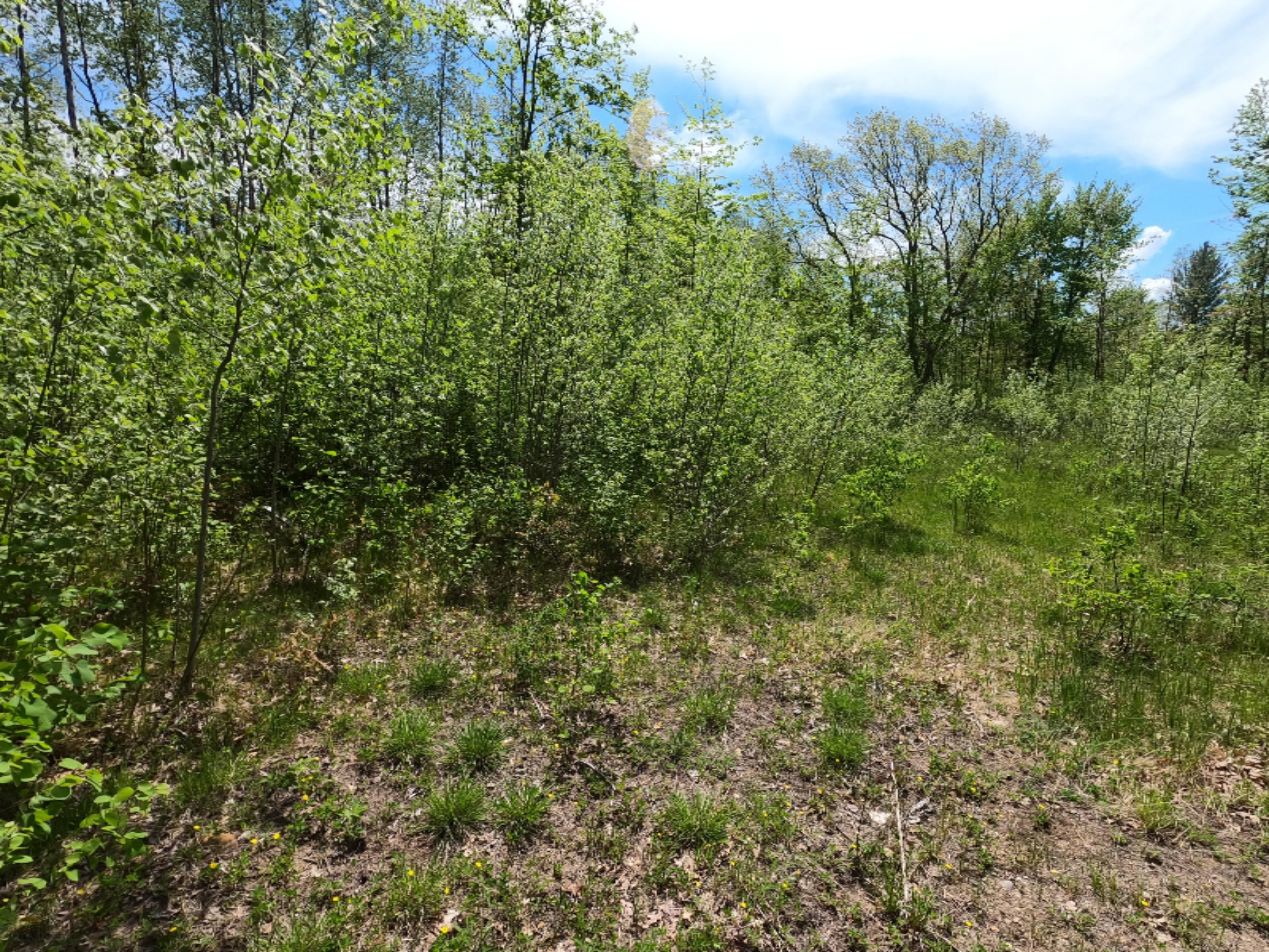 11 11 Mile Road Mecosta, MI 49332 - Photo 3 of 12 GOPR0087