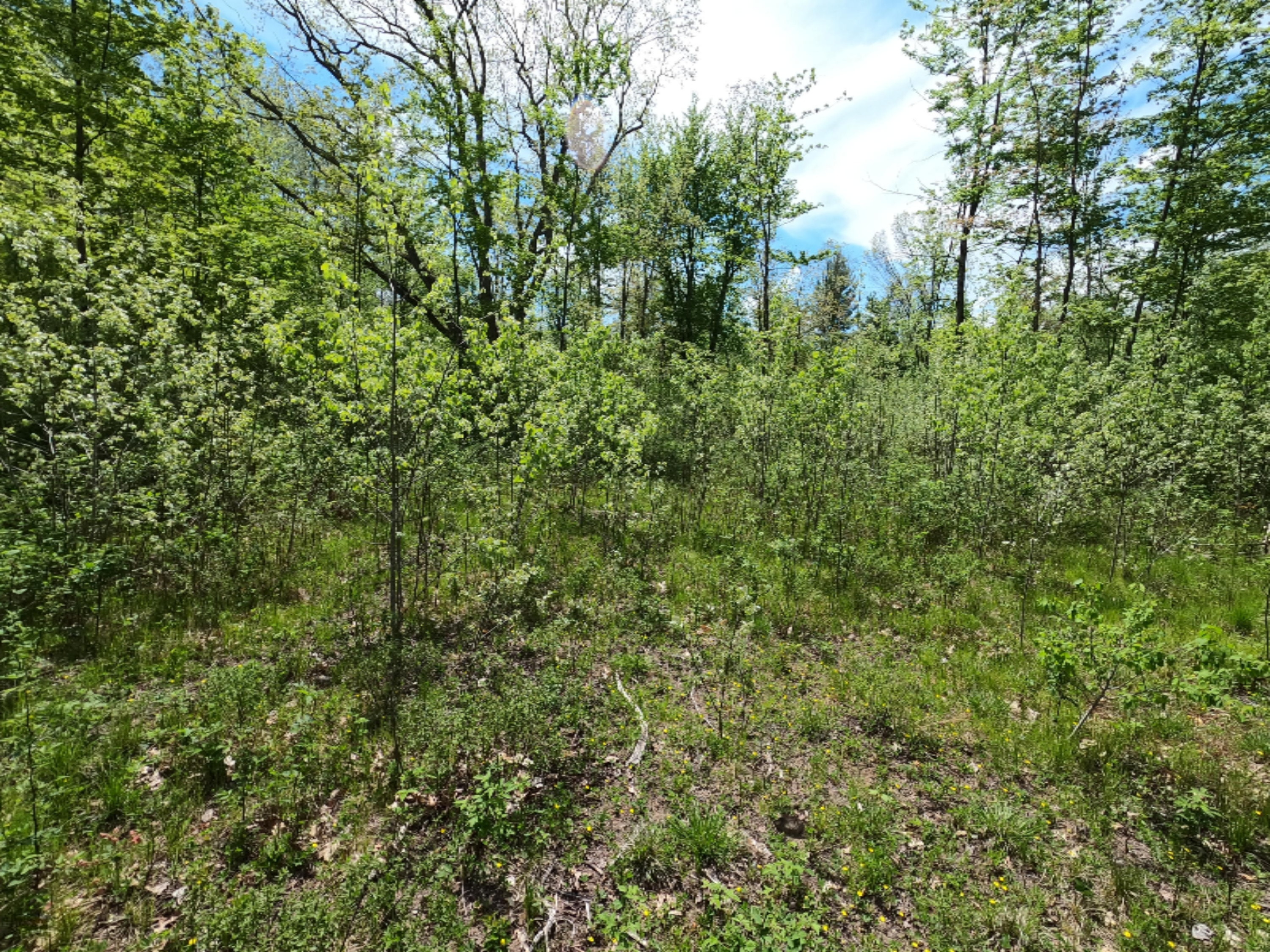 11 11 Mile Road Mecosta, MI 49332 - Photo 7 of 12 GOPR0091
