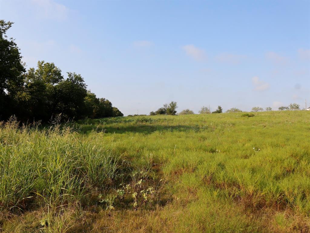 Tbd Lot 2 Tbd Road Ennis, TX 75119 - Photo 9 of 20