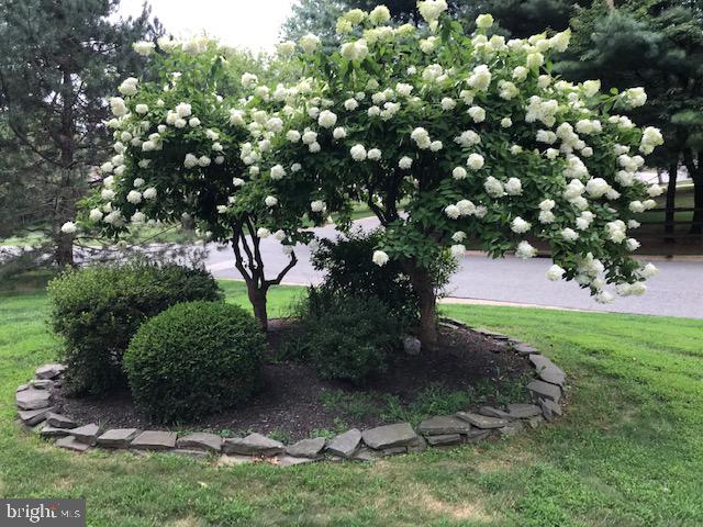 5 Gingerwood Road Malvern, PA 19355 - Photo 11 of 40 Summertime Foliage in Front Yard