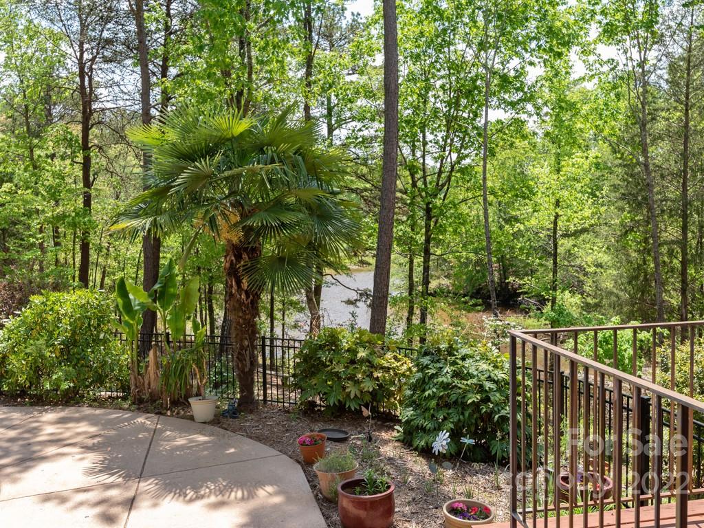 2367 Vineyard Road Fort Mill, SC 29708 - Photo 38 of 39 a view of a backyard with potted plants and large trees