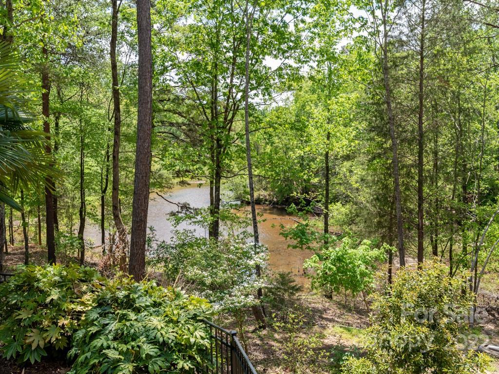 2367 Vineyard Road Fort Mill, SC 29708 - Photo 39 of 39 a backyard of a house with lots of green space and fountain