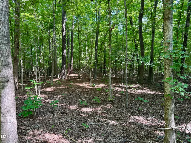 a view of a book shop with a window