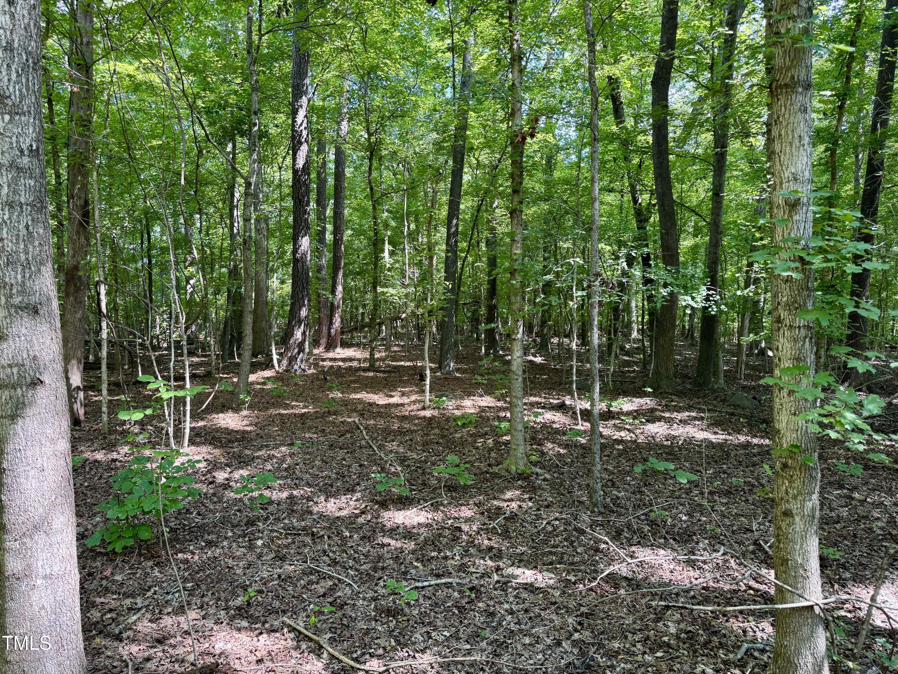 1817 Old Oxford Road Durham, NC 27704 - Photo 14 of 19 a backyard of a house with lots of green space
