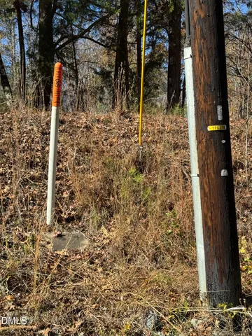 a view of a field with a trees in the background
