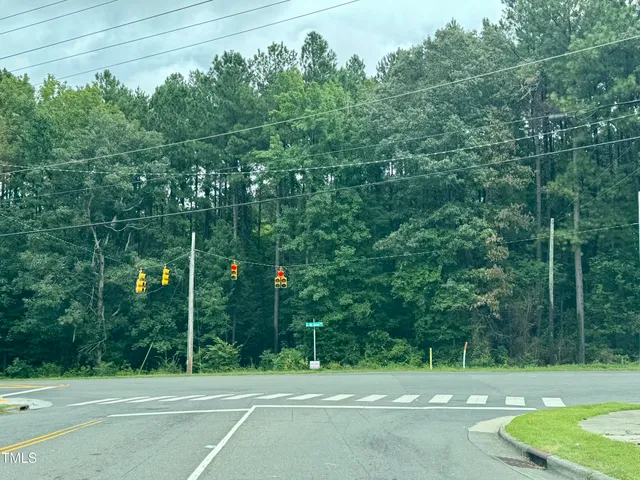 a view of a pathway both side of a house with a yard