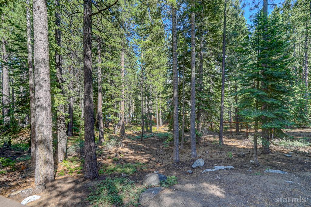 742 Kiowa Drive South Lake Tahoe, CA 96150 - Photo 25 of 26 a view of a forest filled with trees