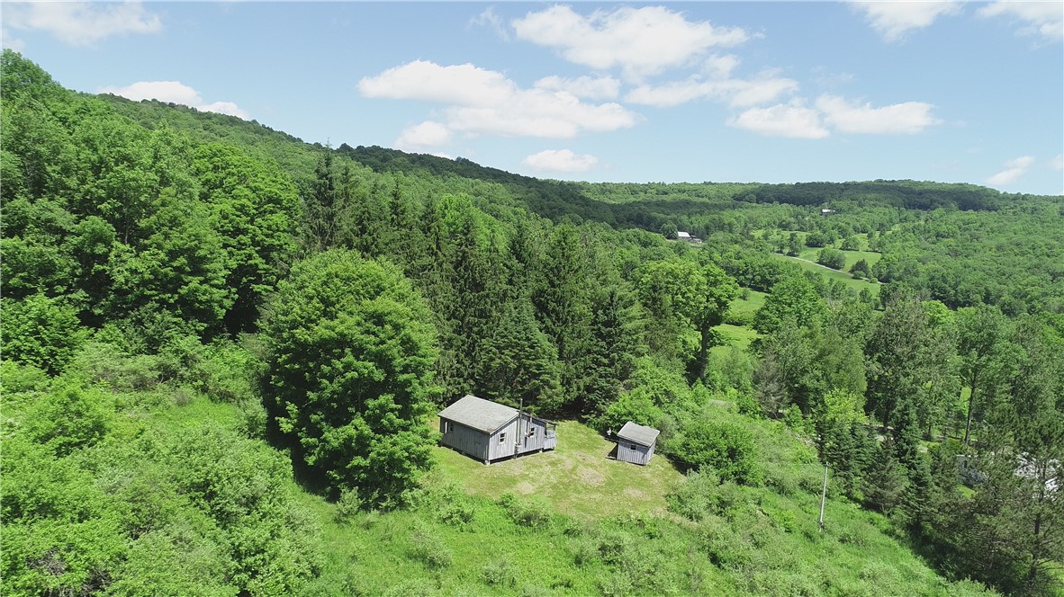 2636 Murphy Hill Road Andes, NY 13731 - Photo 2 of 33