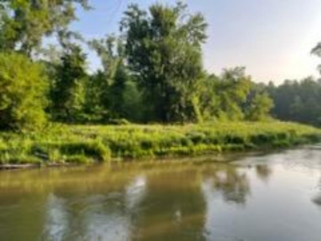 1620 North Michigan Road Omer, MI 48749 - Photo 11 of 80