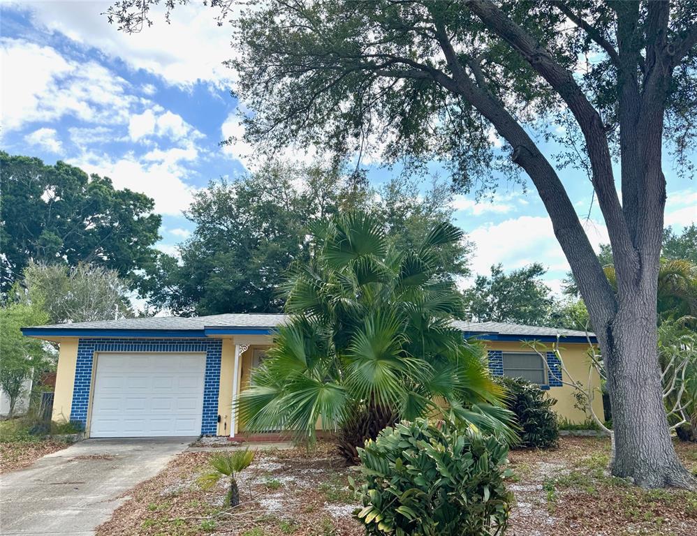 1035 Robmar Road Dunedin, FL 34698 - Photo 1 of 40