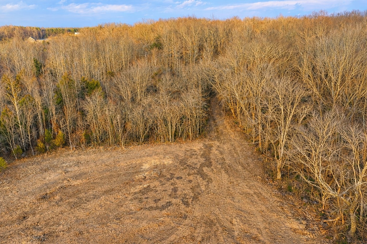 0 Knight Road McMinnville, TN 37110 - Photo 20 of 21 a view of under trees