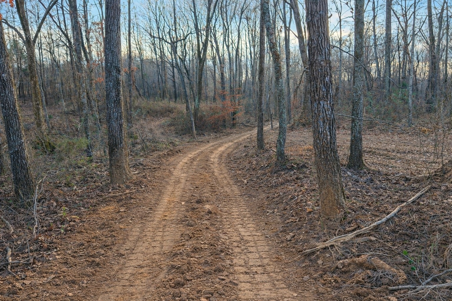 0 Knight Road McMinnville, TN 37110 - Photo 4 of 21 a view of a backyard