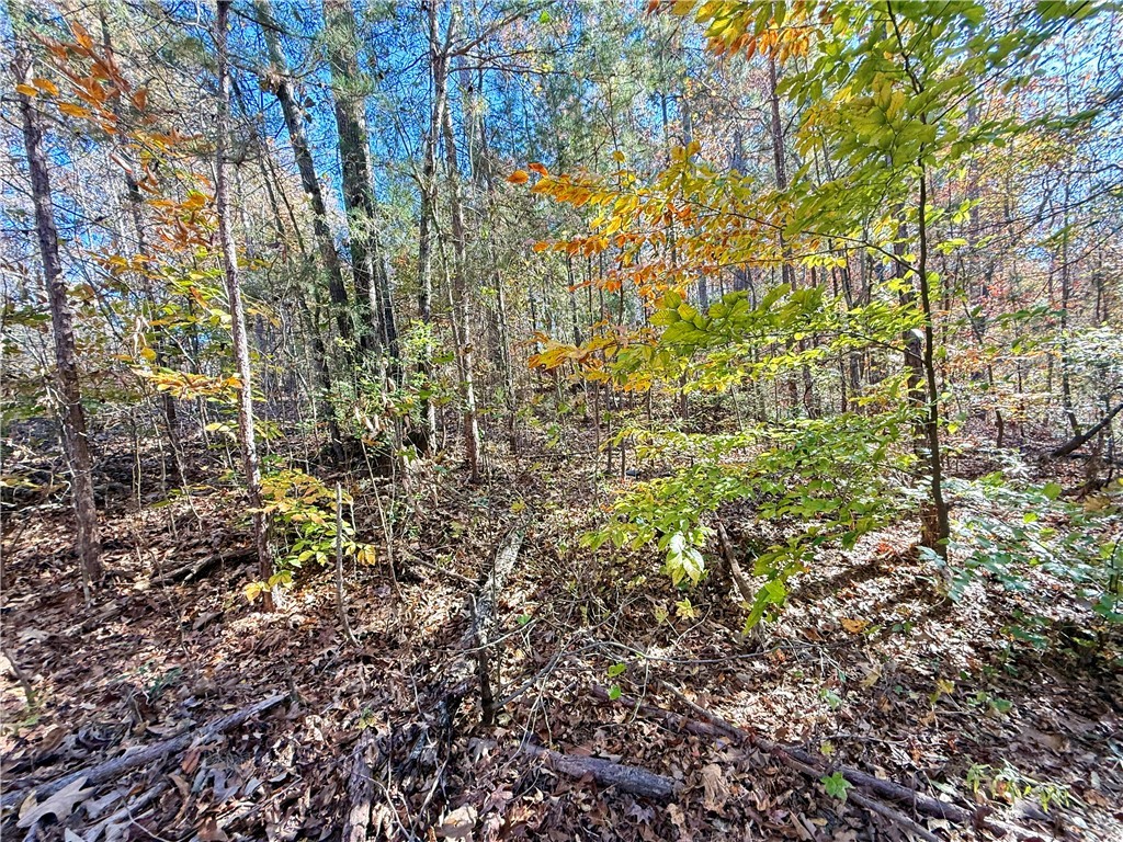 1333 Georgia Road Seneca, SC 29678 - Photo 2 of 7 Gallery Image 2