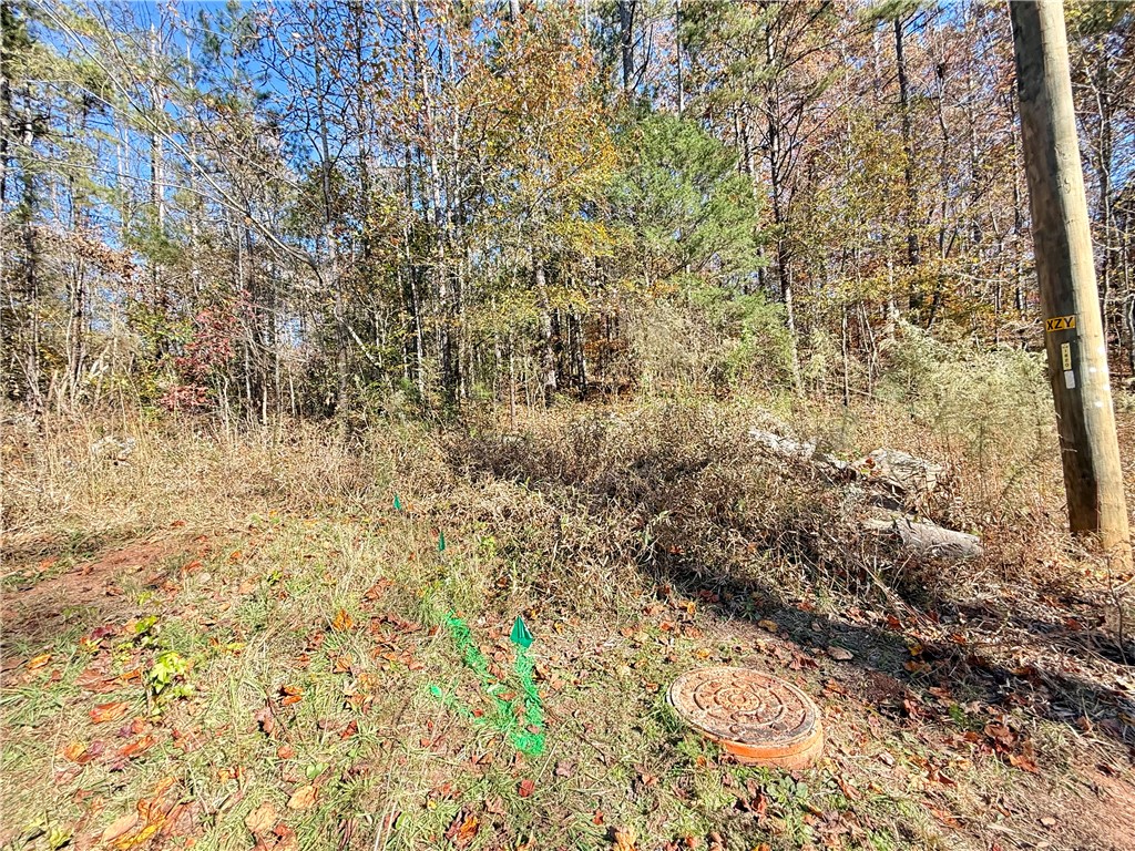 1333 Georgia Road Seneca, SC 29678 - Photo 3 of 7 Gallery Image 3