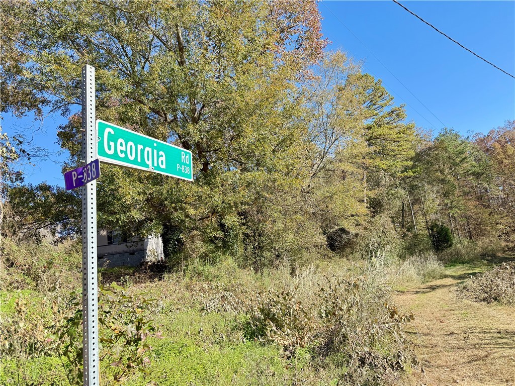1333 Georgia Road Seneca, SC 29678 - Photo 5 of 7 Gallery Image 5
