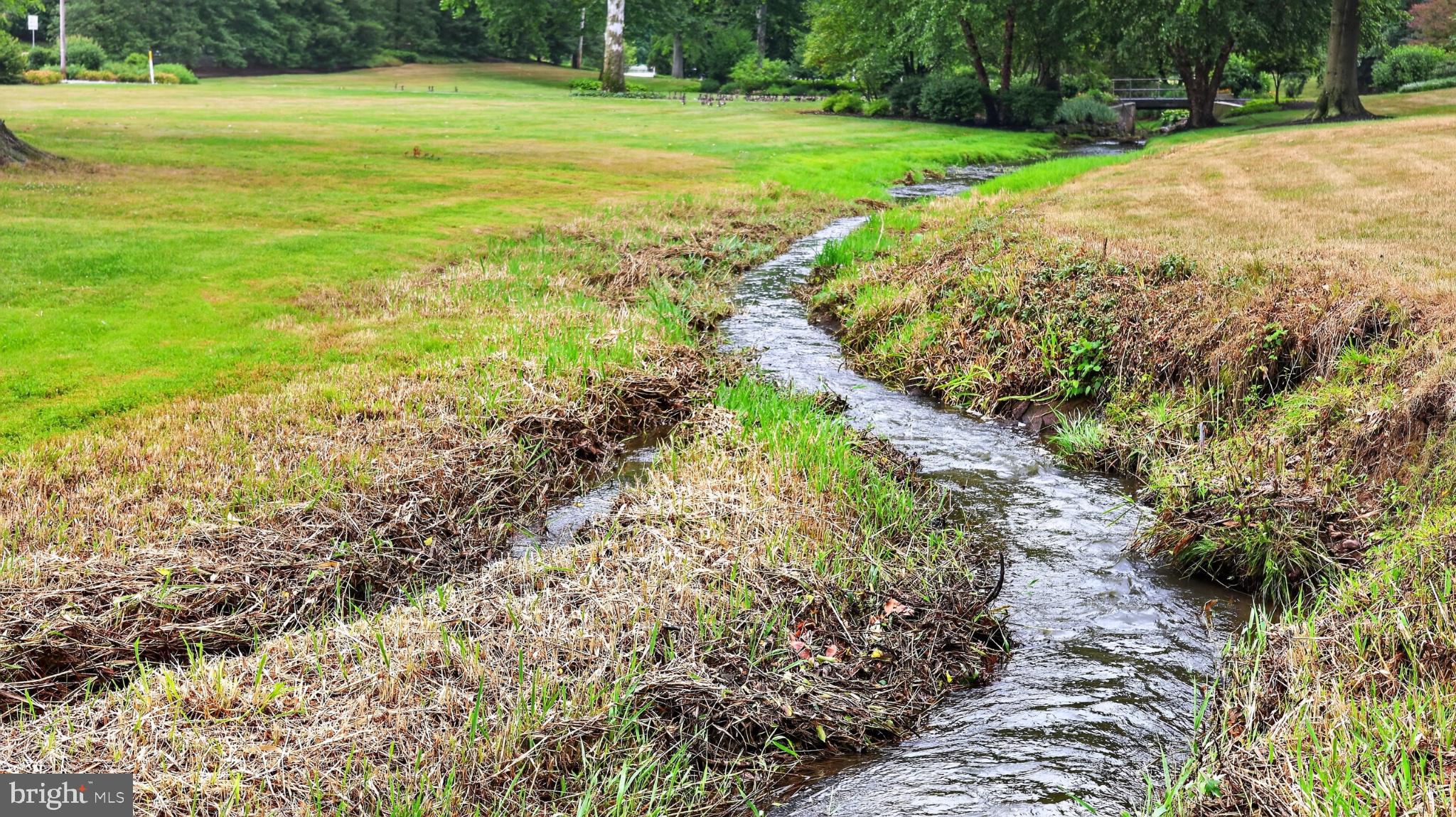 475 South Cocalico Road Denver, PA 17517 - Photo 84 of 91 Serene stream winding through greenery.