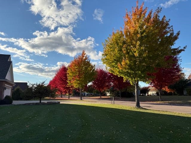 W6569 Rickey Lane Greenville, WI 54942 - Photo 54 of 55