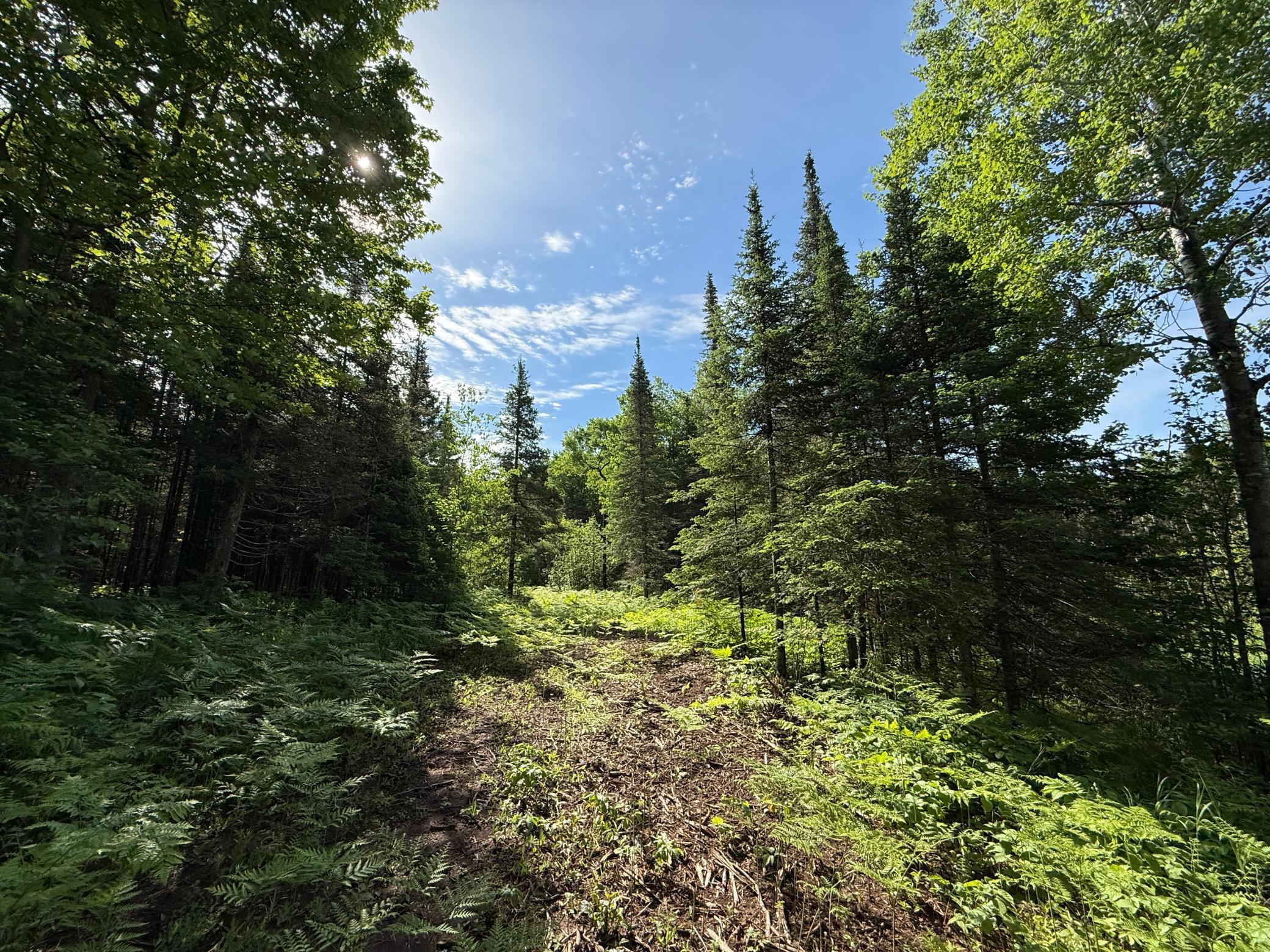 Tbd Arnold Road Duluth, MN 55803 - Photo 24 of 35