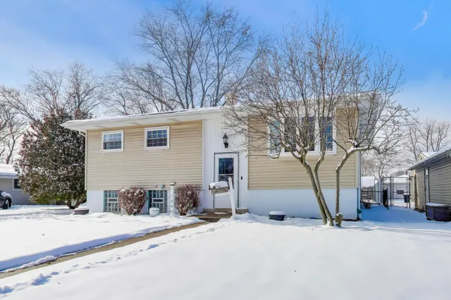 a house with a tree in front of it