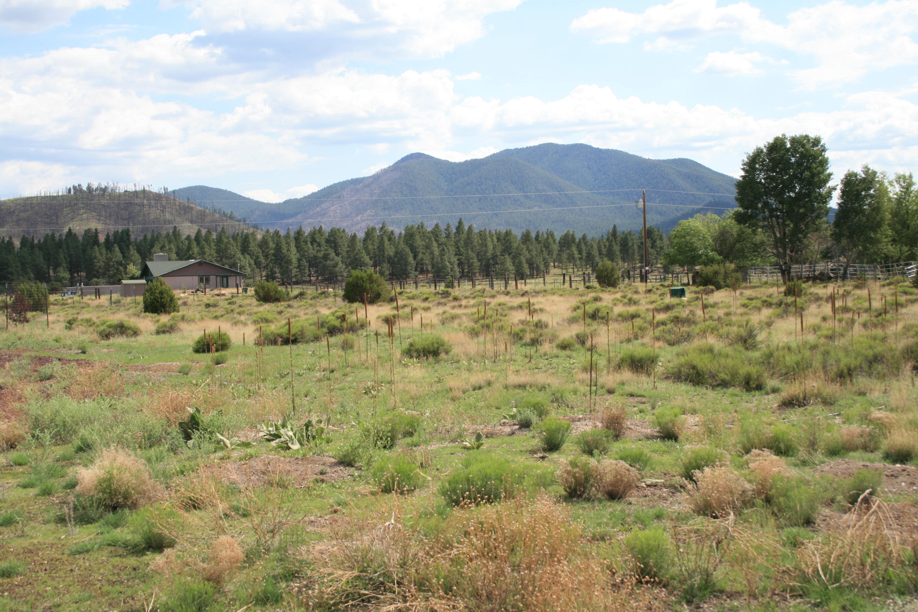13607 East Spring Valley Road Parks, AZ 86018 - Photo 2 of 30 IMG_2399